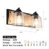 Double Black Vanity Light