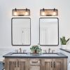 Double Black Vanity Light