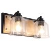 Double Black Vanity Light