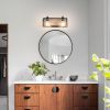 Double Black Vanity Light