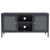 TV Stand Anthracite 41.3"x13.8"x20.5" Steel and Glass