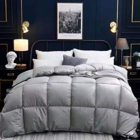 Down Duvet, Winter Duvet, Goose Down Duvet Core (Option: Grey-200x230cm-6)
